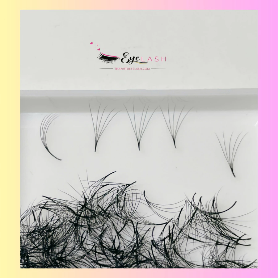 Lông Mi Fan Sẳn 5D -0.07 - Premade Fan 5D. Xưởng sản xuất Lông Mi Thanh Tú EyeLash.