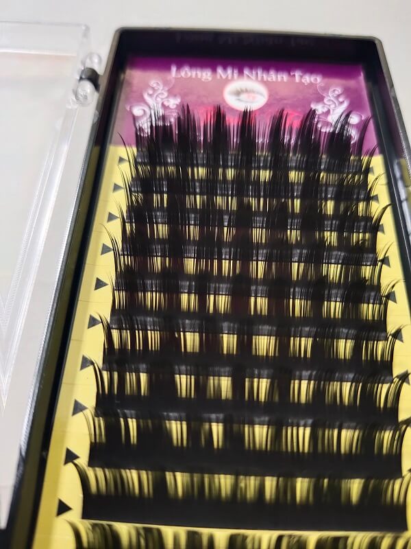 Mi Hoa Hồng Đen Sơn Trà - Lông Mi Classic. Công Ty Sản Xuất Lông Mi Thanh Tú EyeLash 2. Mi Hoa Hồng Đen Sơn Trà - Lông Mi Classic. Công Ty Sản Xuất Lông Mi Thanh Tú EyeLash 2.