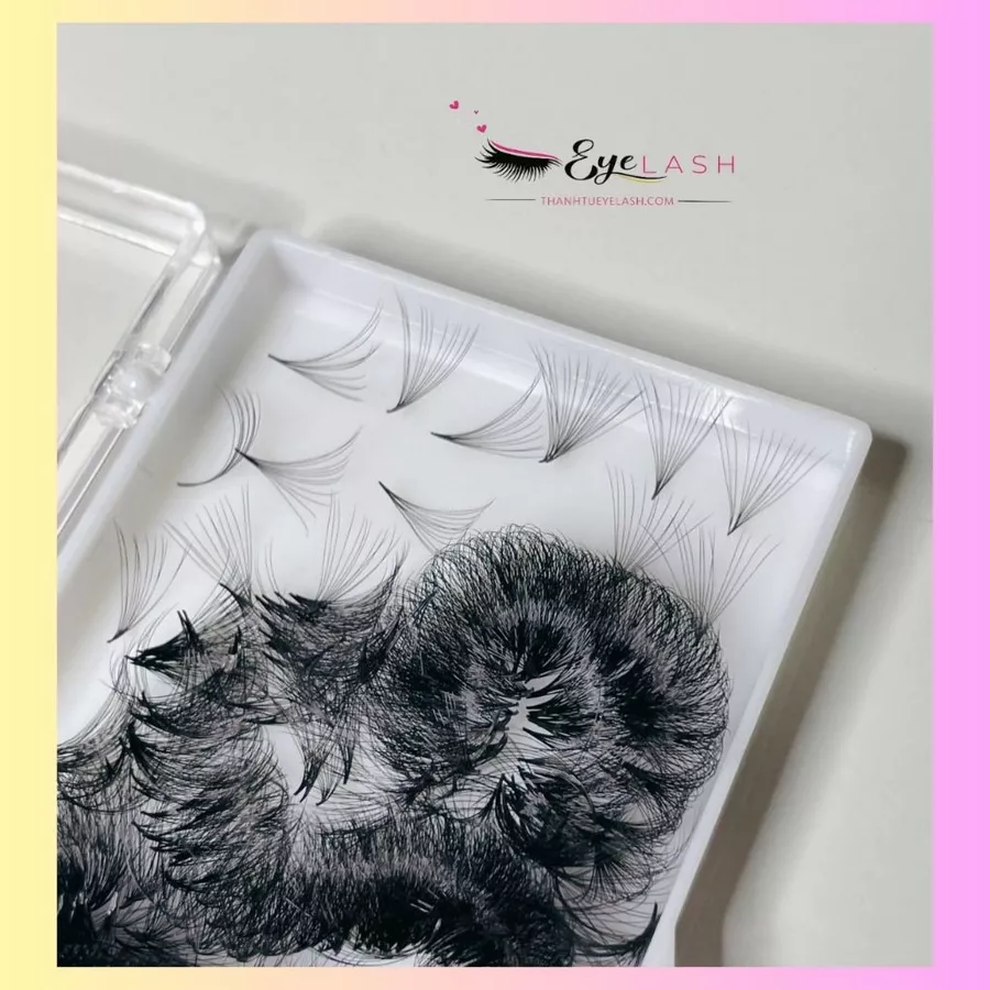 Lông Mi Fan Sẳn 14D- 0.05-C (Fan Lash Extensions)- Mi Volume 14D. Công Ty sản xuất Lông Mi Thanh Tú EyeLash.