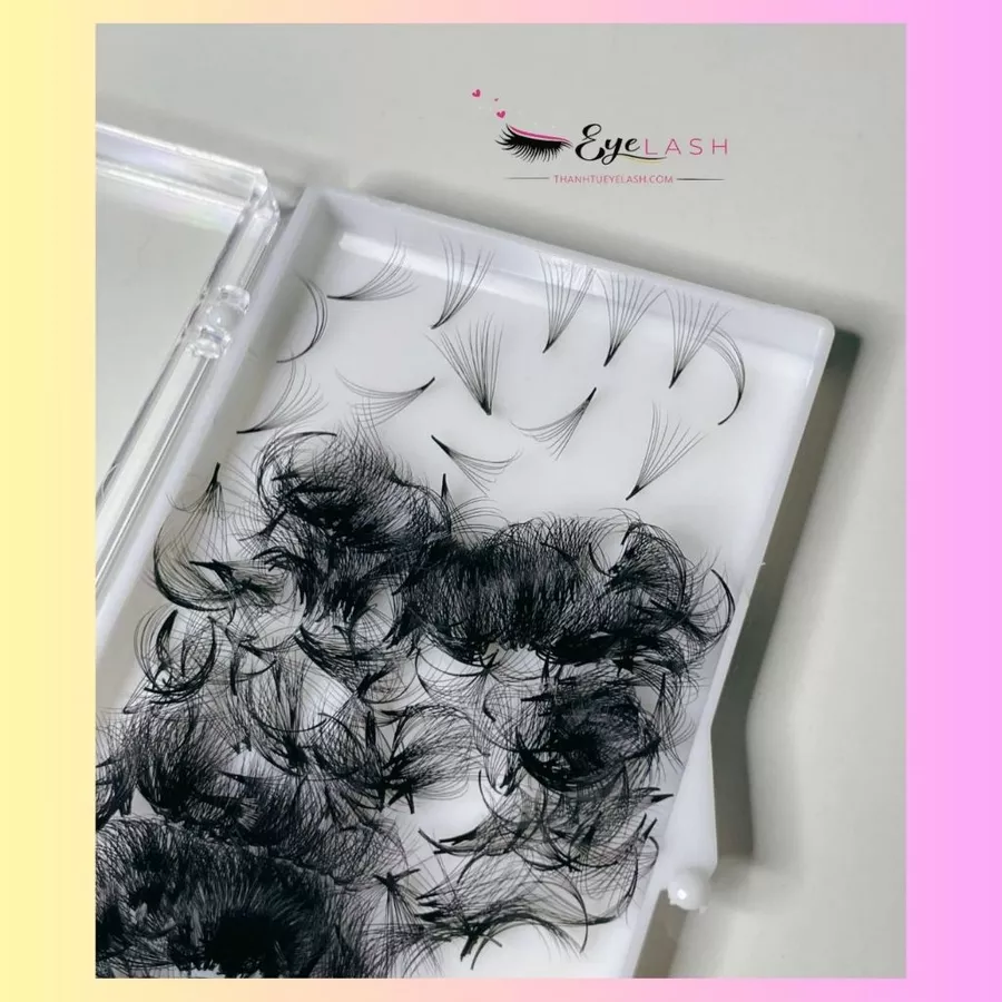 Lông Mi Fan Sẳn 8D- 0.05-C (Fan Lash Extensions)- Mi Volume 8D. Công Ty sản xuất Lông Mi Thanh Tú EyeLash.