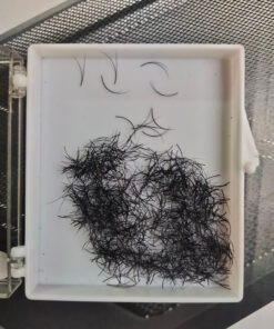 Lông Mi Fan Sẳn 2D- Mi Volume 2D. Công ty Sản Xuất Lông Mi Nối Thanh Tú EyeLash.