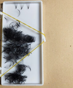Lông Mi Fan Sẳn 10D- 0.07(EyeLash Fan). Công Ty sản xuất Lông Mi Thanh Tú EyeLash.