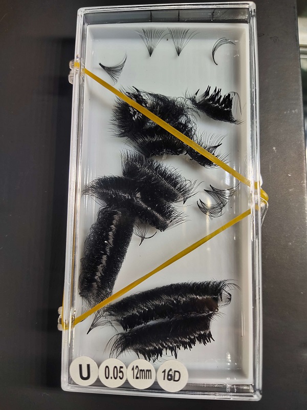 Lông Mi Fan 16D - Fan For EyeLash Extensions. Lông Mi cao cấp từ Thanh Tú EyeLash.